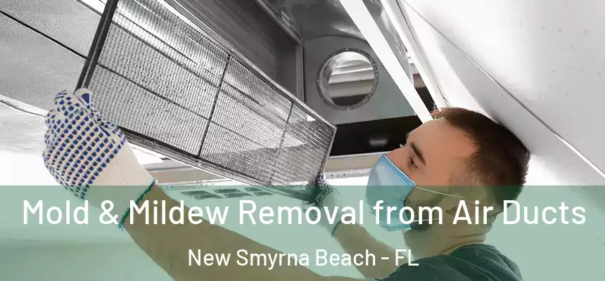  Mold & Mildew Removal from Air Ducts New Smyrna Beach - FL